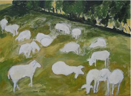 Field of Sheep