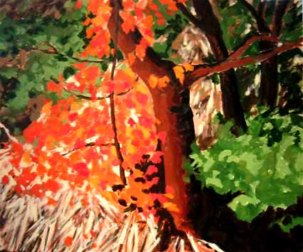 Autumn Forest