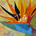 Click to view Collage Gallery