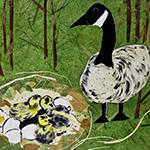 Selectr to view larger image