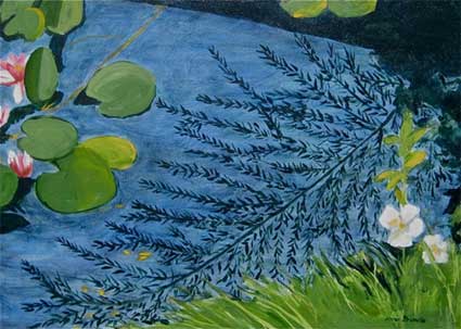 Evening Water Lilies