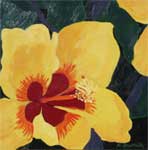 click for larger view