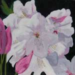 Click for larger view