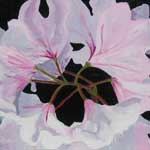 Click for larger image