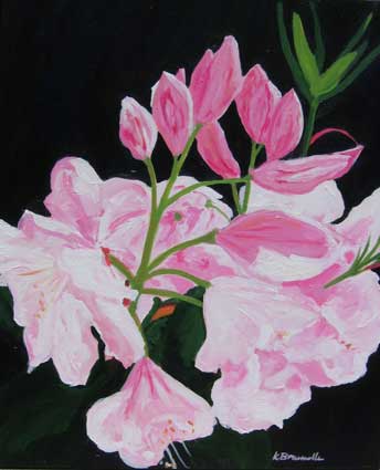 Rhododendron with New Leaves