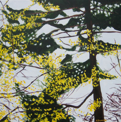 Fir and Witch-Hazel by Karen Brumelle