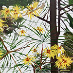 Click to view larger image