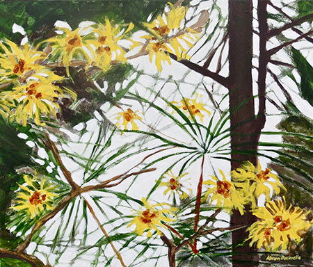 Fir and Witch-Hazel II by Karen Brumelle