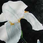 Click for larger view