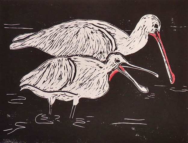 Spoonbills by Karen Brumelle
