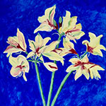 Select to view larger image