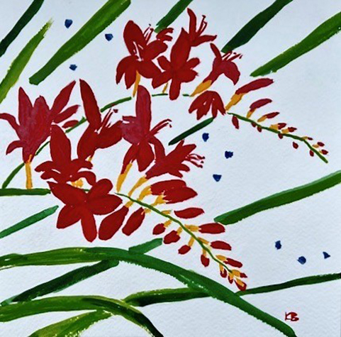 Crocosmia -  by Karen Brumelle