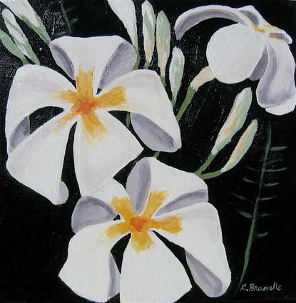 Hawaiian Plants, Plumeria 